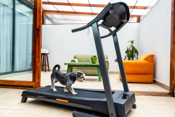 Treadmill Installation in Lehi