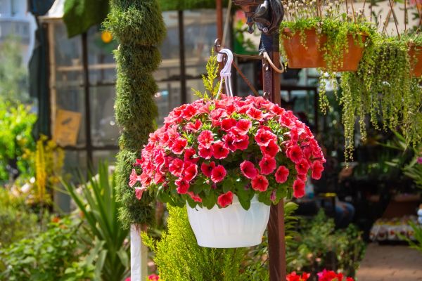 Hanging Planter Installation in Lehi