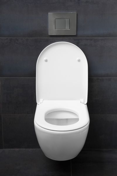 Toilet Lid Installation in Lehi