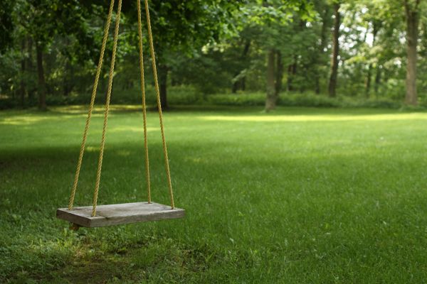 Rope Swing Installation in Lehi