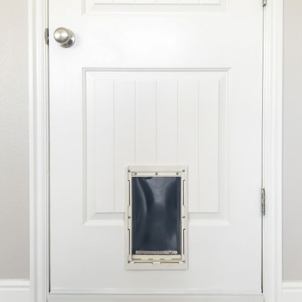 Pet Door Repair in Lehi