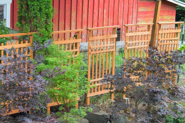 Wood Trellis Mounting in Lehi