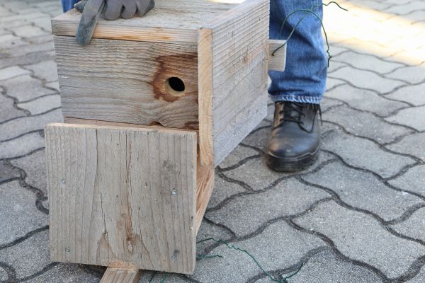 Birdhouse Mounting in Lehi