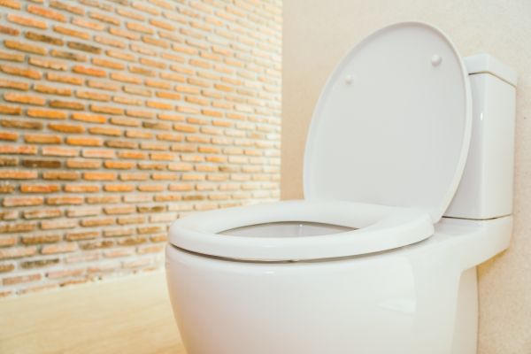 Toilet Seat Repair in Lehi